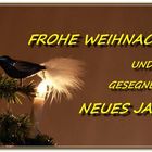 Weihnachtsgrüße