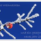 Weihnachtsgrüße