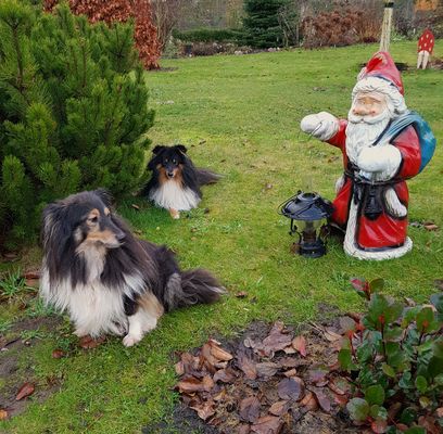 Weihnachtsgrüße aus dem Garten