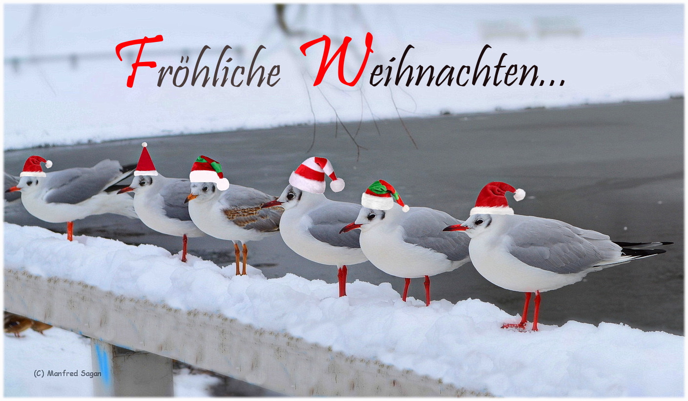 Weihnachtsgrüße aus Stralsund... 