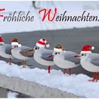 Weihnachtsgrüße aus Stralsund... 