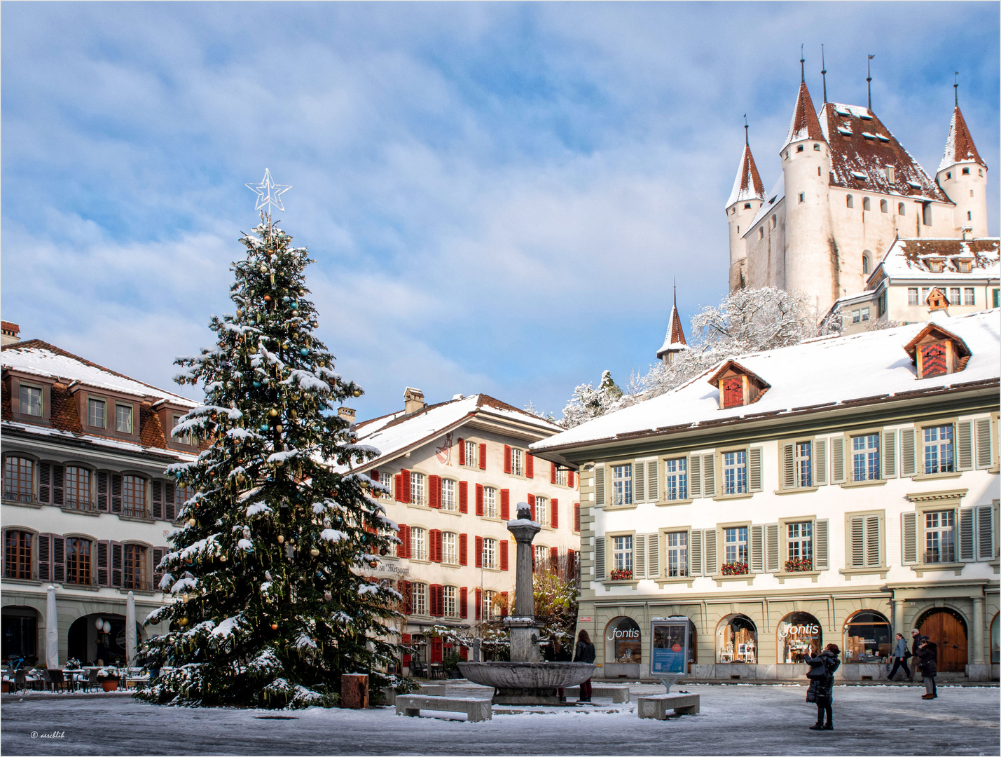 Weihnachtsgrüsse aus Thun