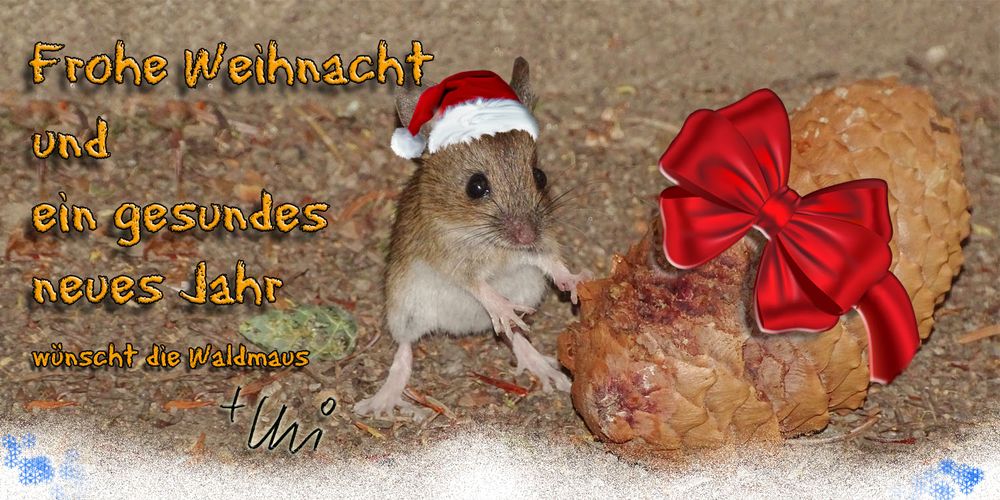 Weihnachtsgrüße