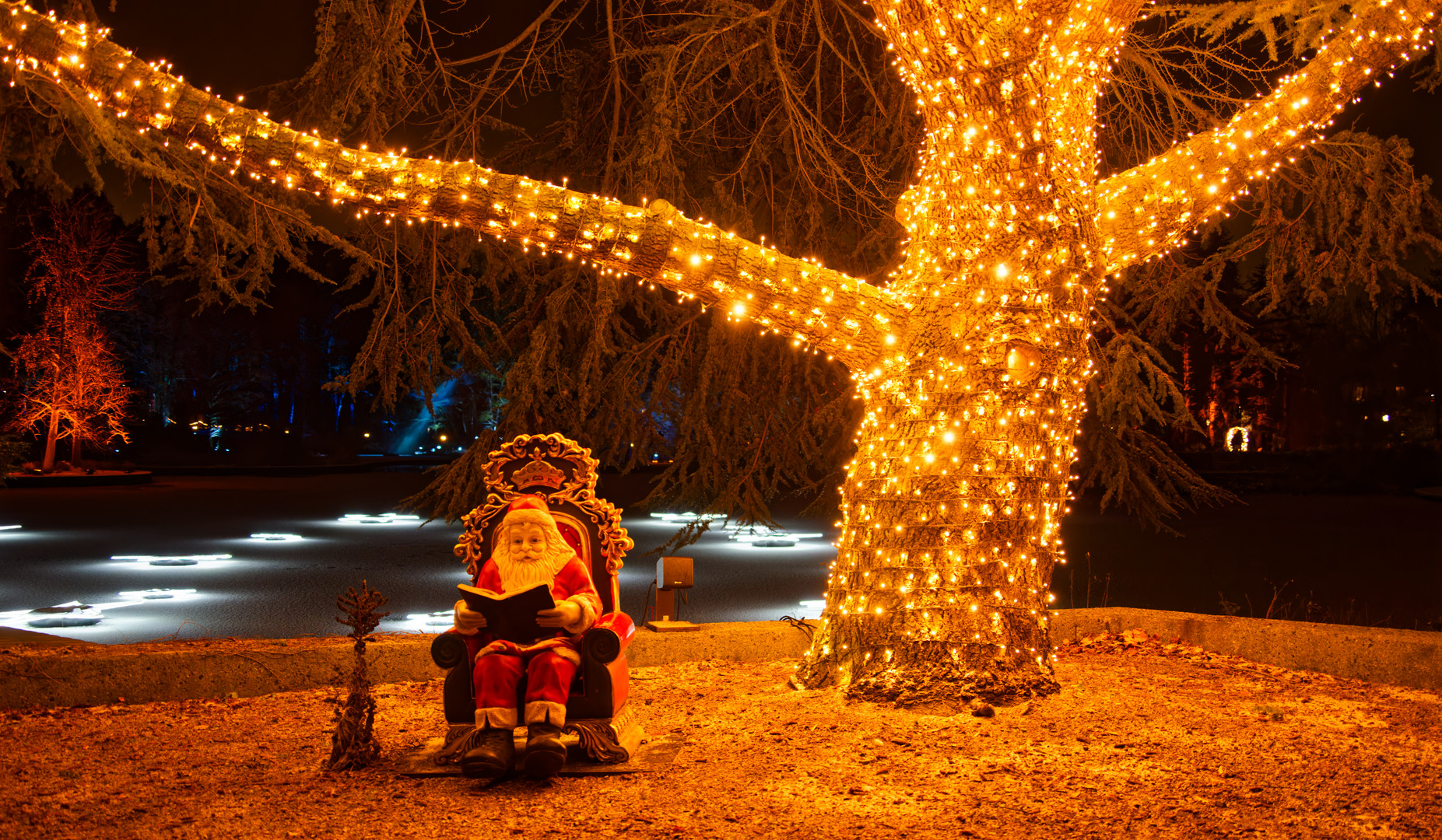 Weihnachtsgrüße und Wünsche