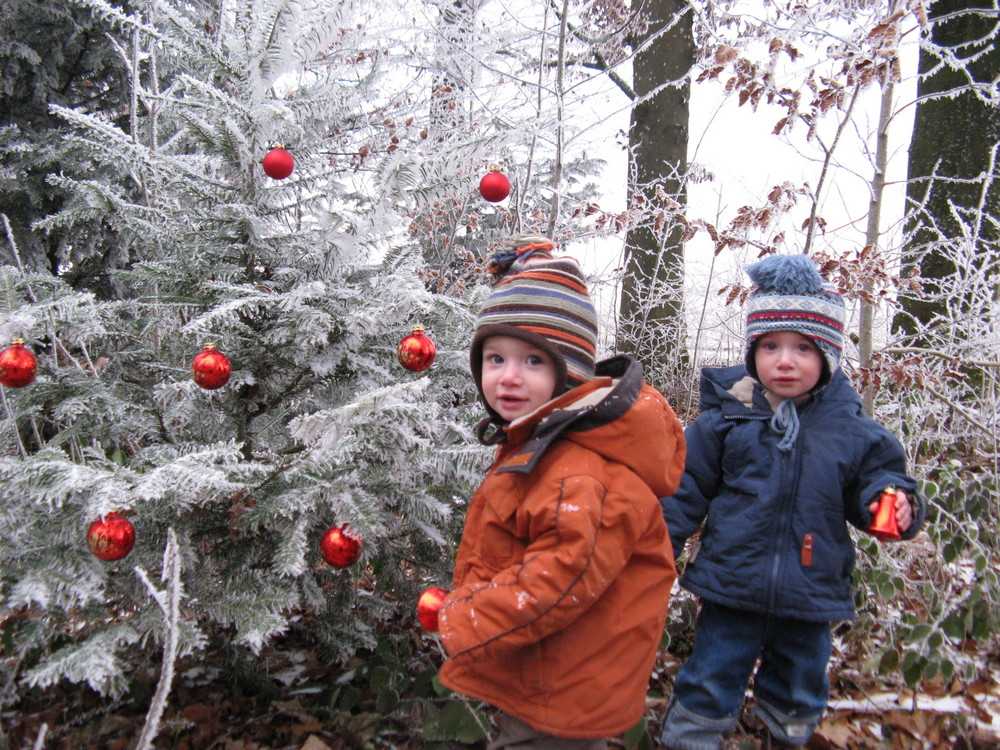 Weihnachtsgruß 2007