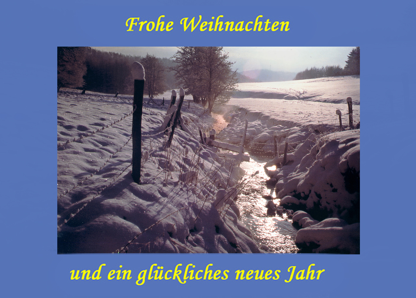 Weihnachtsgruß 2010