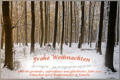 Weihnachtsgruss 2010