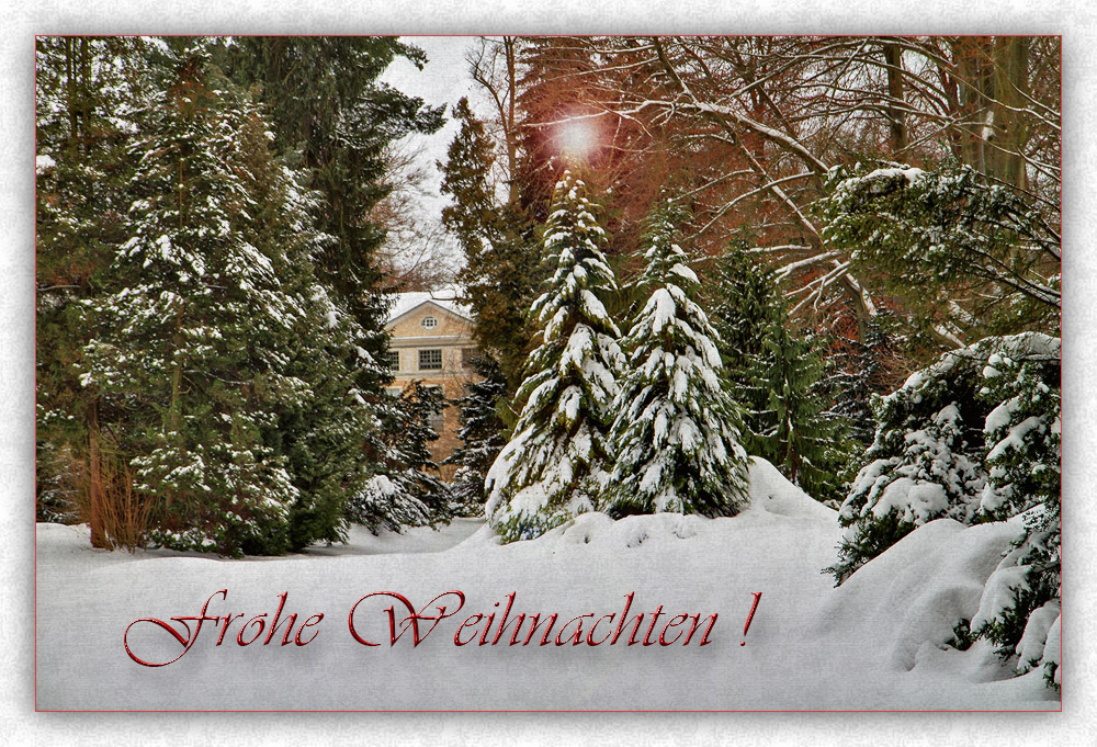 Weihnachtsgruß 2011