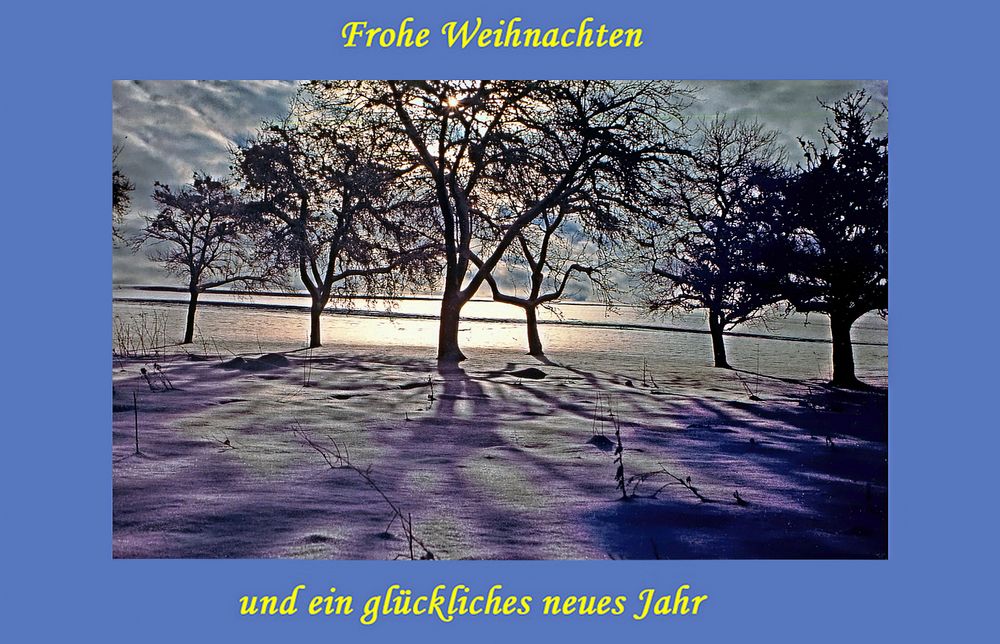 Weihnachtsgruß 2012