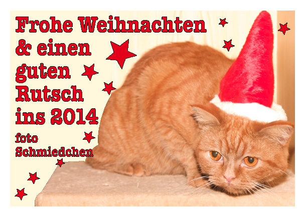 Weihnachtsgruß 2013