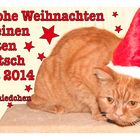 Weihnachtsgruß 2013