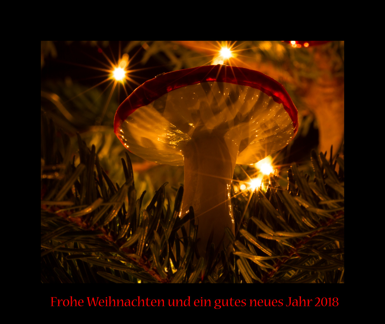 Weihnachtsgruß