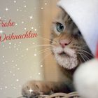 Weihnachtsgruß