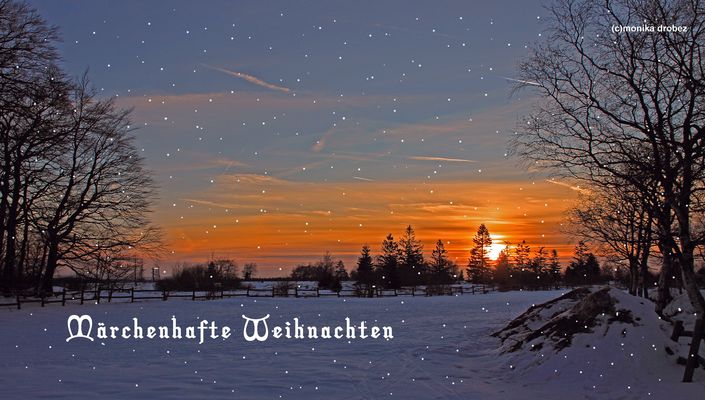 ...Weihnachtsgruß...