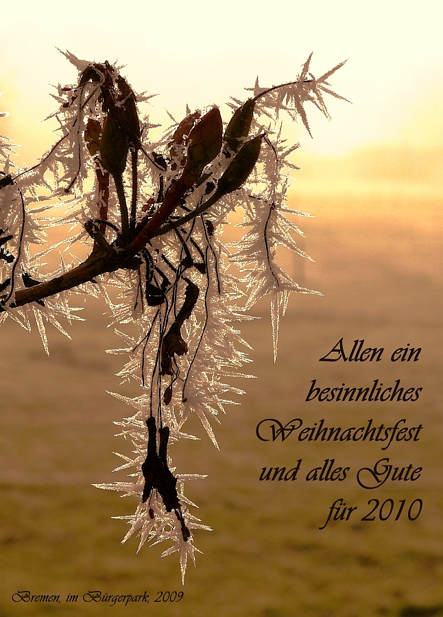 Weihnachtsgruß