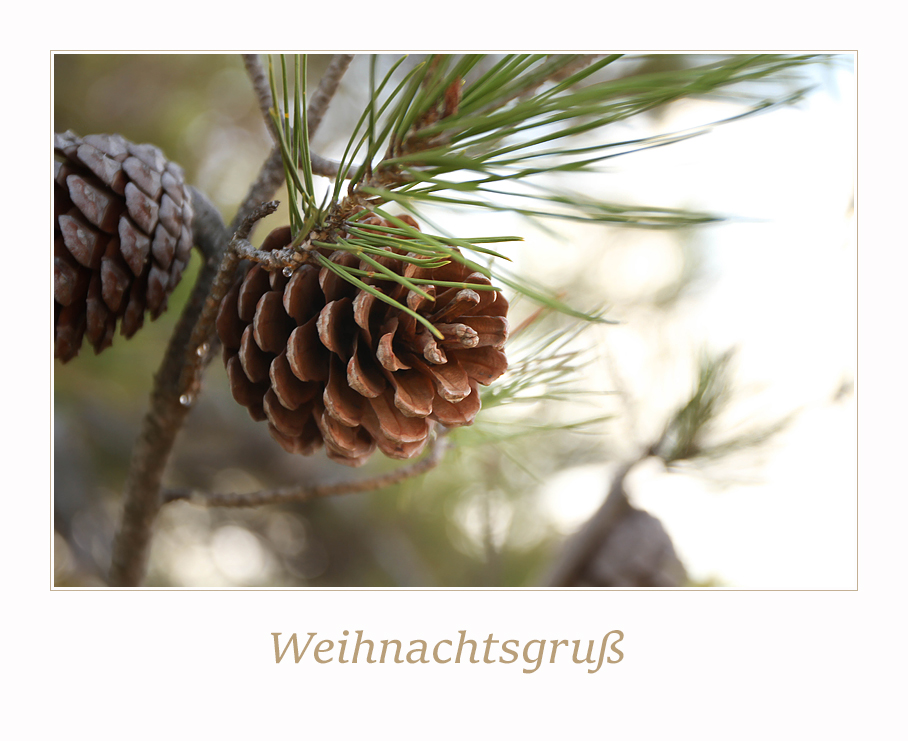 Weihnachtsgruß