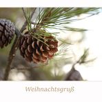 Weihnachtsgruß