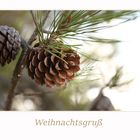 Weihnachtsgruß