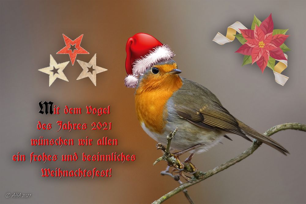 Weihnachtsgruß