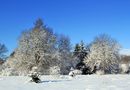 - Weihnachtsgruß! - von Peter-Fritz Bischoff 