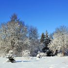 - Weihnachtsgruß! -