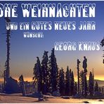 WEIHNACHTSGRUß