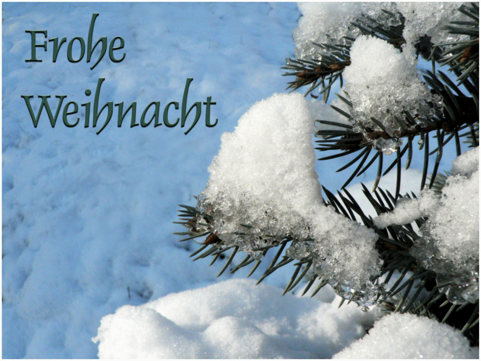 Weihnachtsgruß