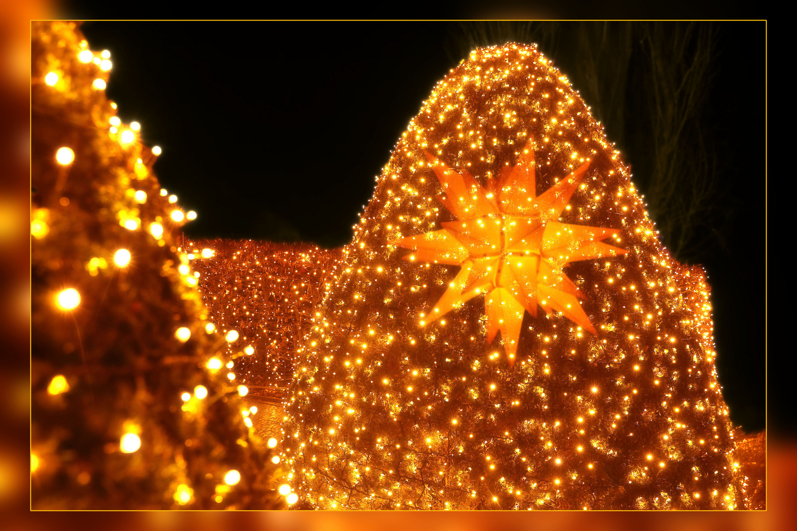 Weihnachtsgruß