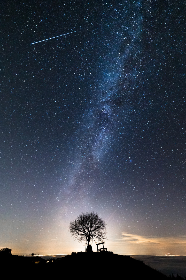 Weihnachtsgruss vom Himmel Foto &amp; Bild | weihnachten, dezember, baum