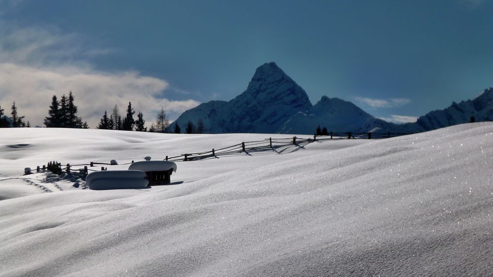 Weihnachtsgruss von der Wiesner Alp