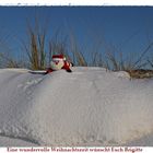 Weihnachtsgruß von meiner Insel