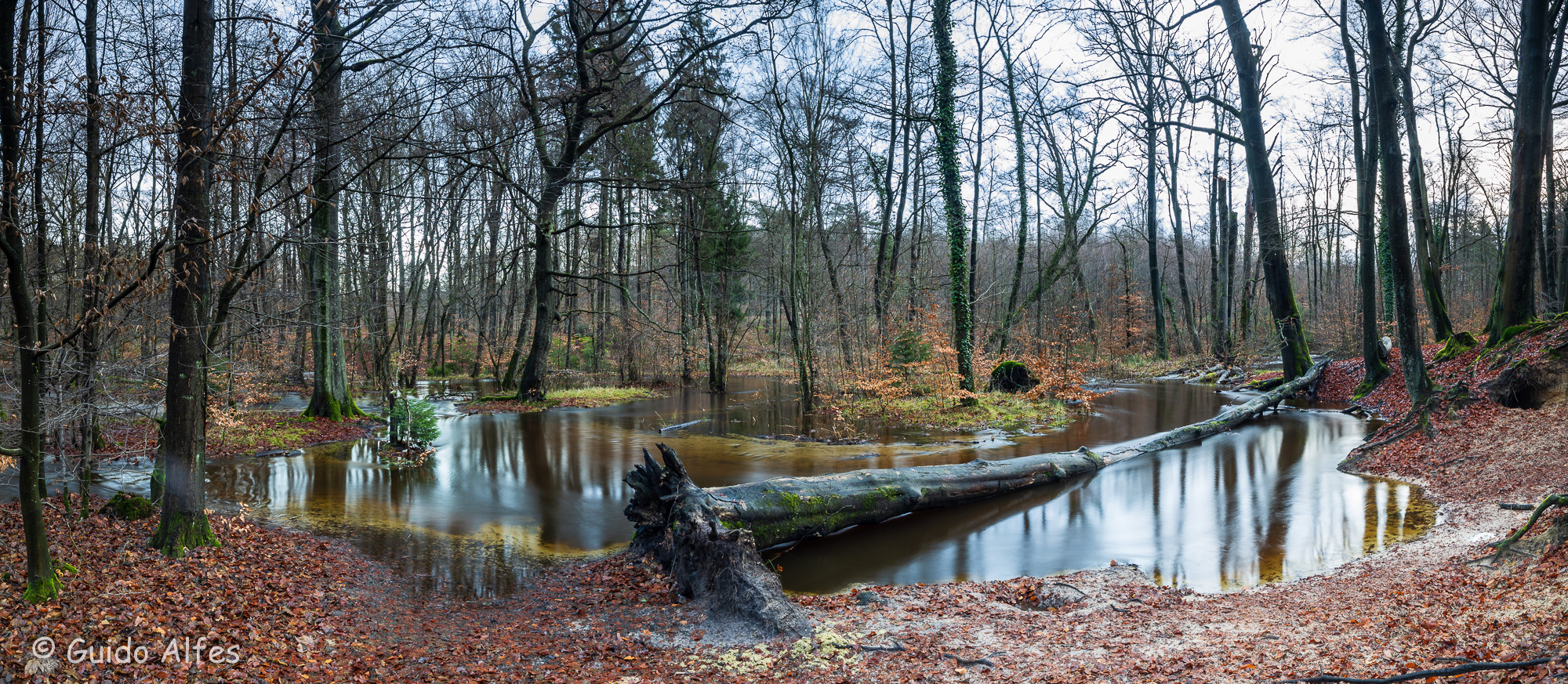 Weihnachtshochwasser am Rotbach