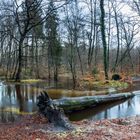 Weihnachtshochwasser am Rotbach