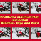 Weihnachtshund