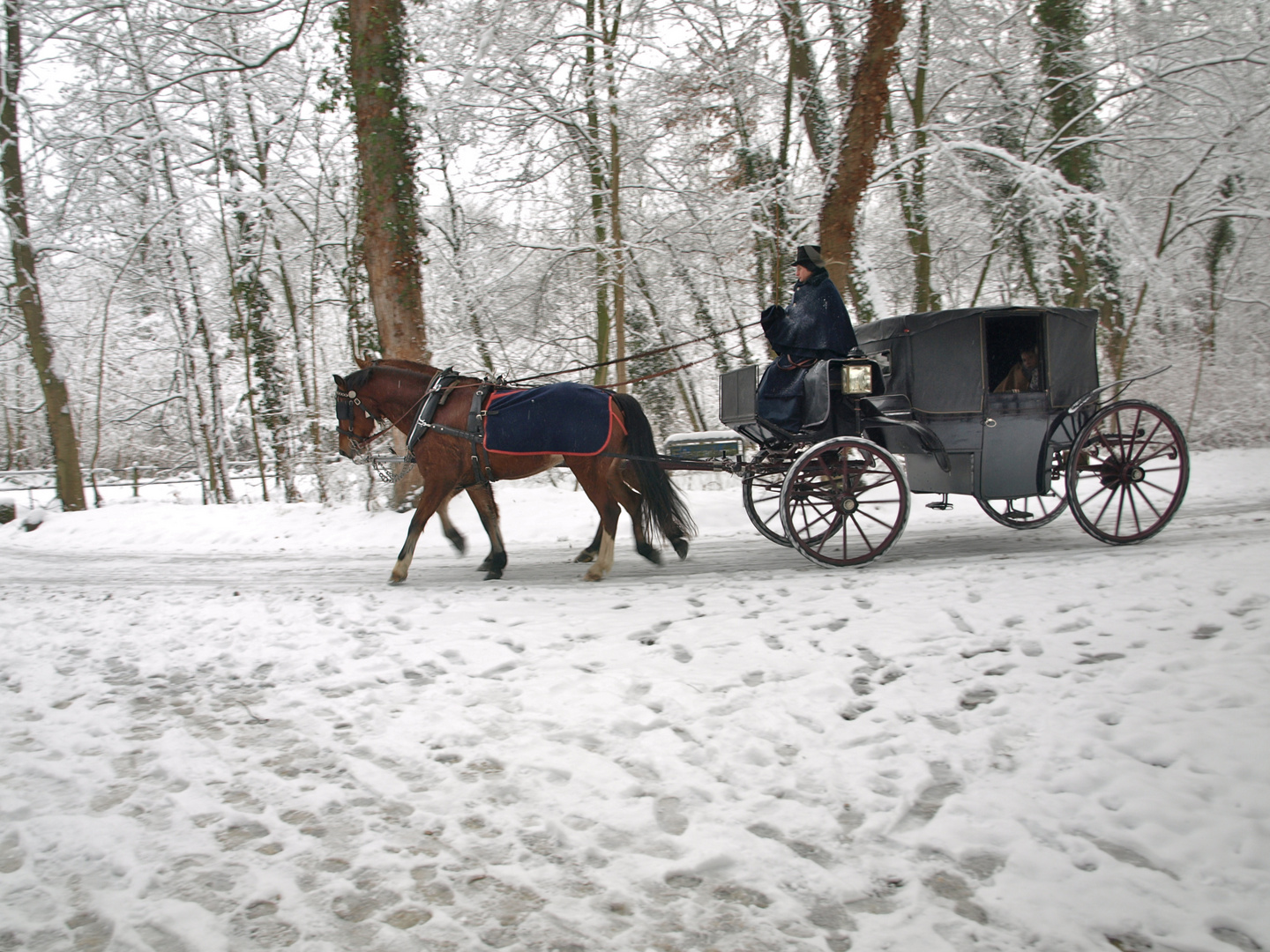 Weihnachtsidylle