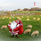 Weihnachtskarte mit Pellwormmotiv