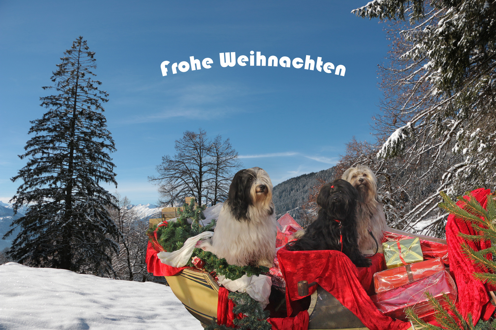 Weihnachtskarte_2020