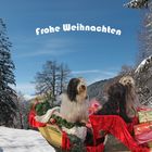 Weihnachtskarte_2020