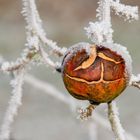 weihnachtskugel