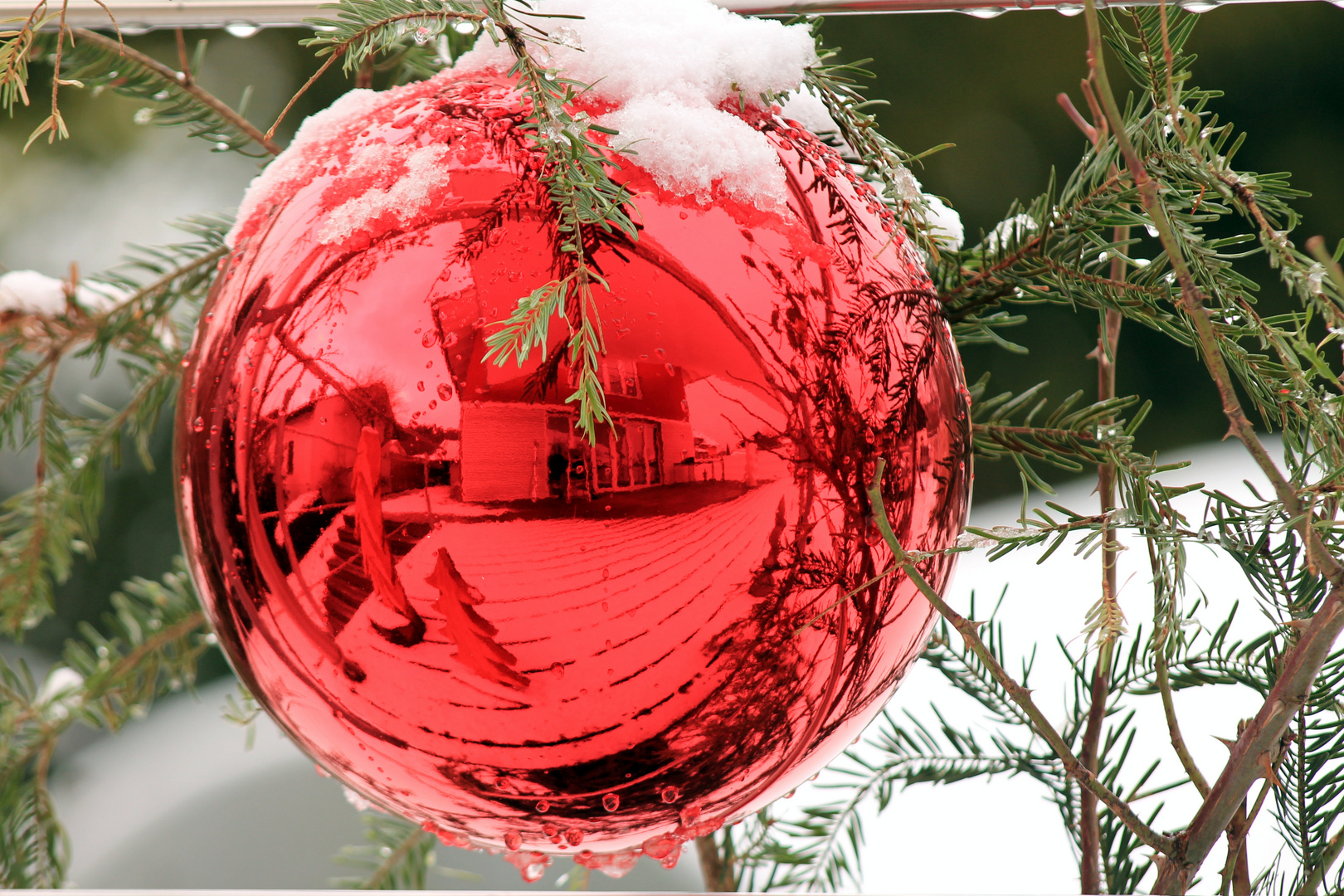 Weihnachtskugel im Schnee Foto & Bild alltagsdesign, weihnachten