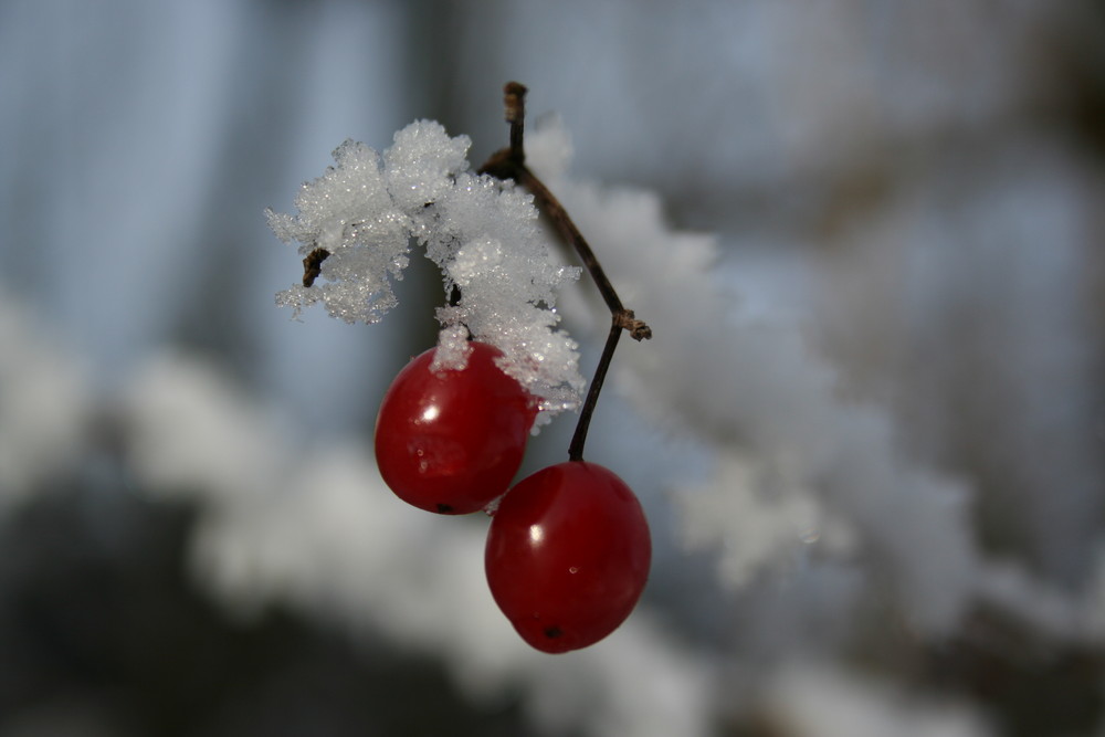 Weihnachtskugeln...