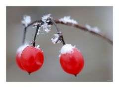 Weihnachtskugeln