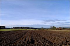 Weihnachtslandschaft