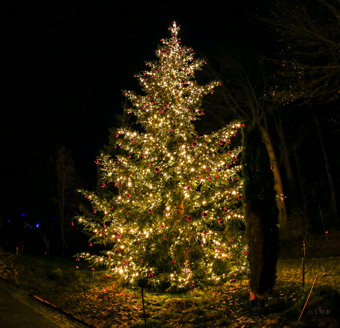 Weihnachtslichter