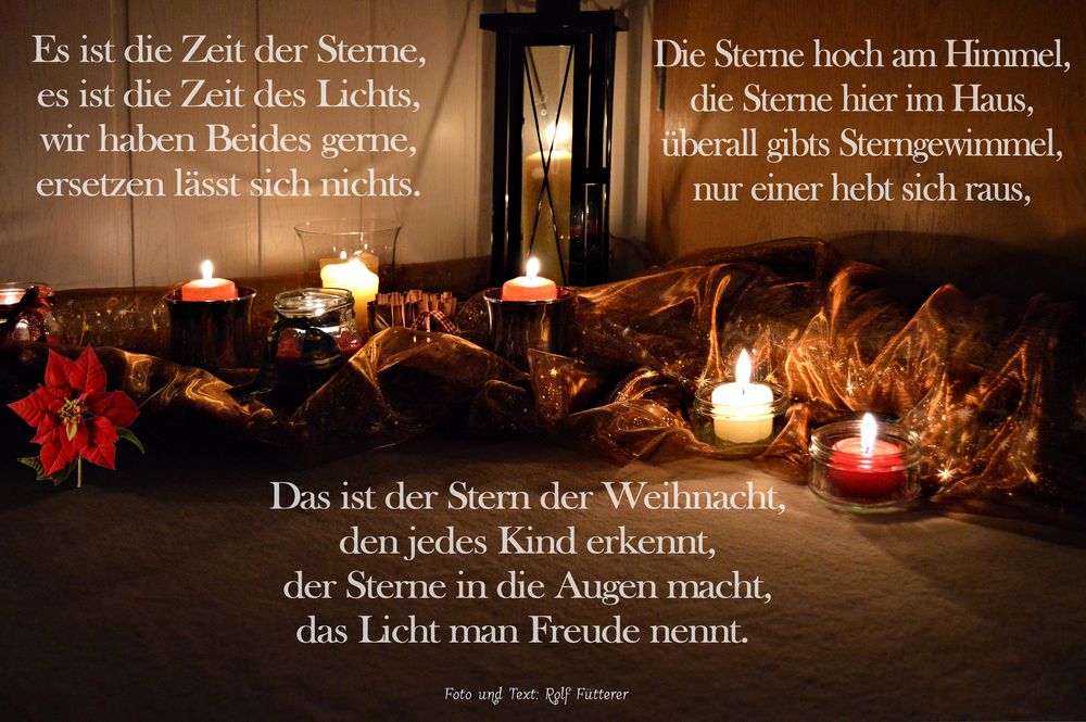 Weihnachtslichter werden Weihnachtssterne Foto & Bild stillleben