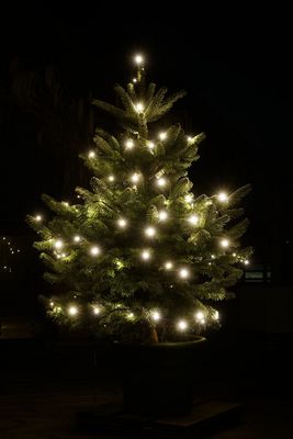 Weihnachtslichter...Weihnachten 2021 - auch ohne Schnee recht romantisch.