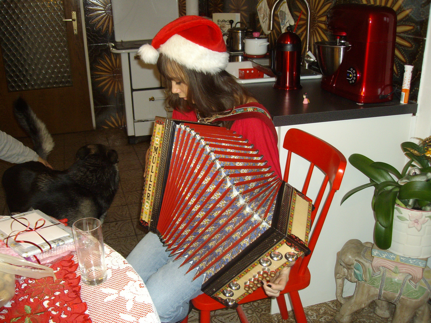 Weihnachtslieder auf der Steirischen Harmonika Foto & Bild