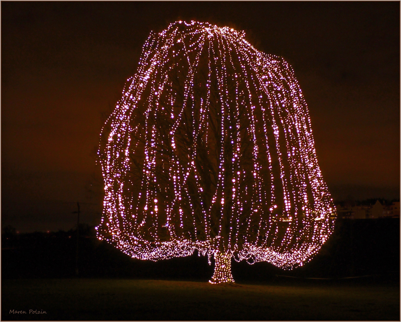 Weihnachtslinde