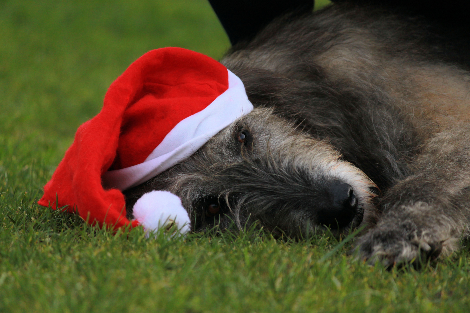 Weihnachtsmann???