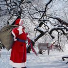 Weihnachtsmann im Zauberwald